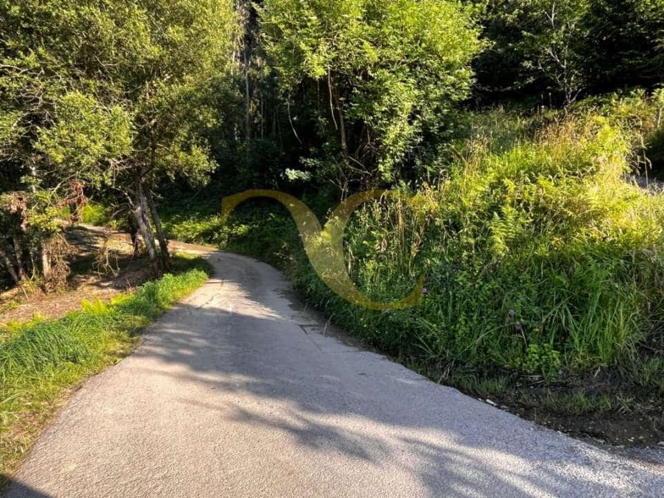 Undeveloped Land for sale in Ribadesella - € 60,000 (Ref: 9559335)