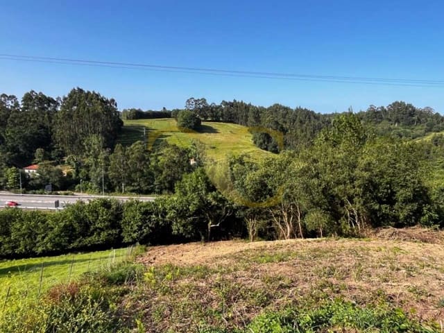 Terre non Aménagée à vendre à Ribadesella - 60 000 € (Ref: 9559335)