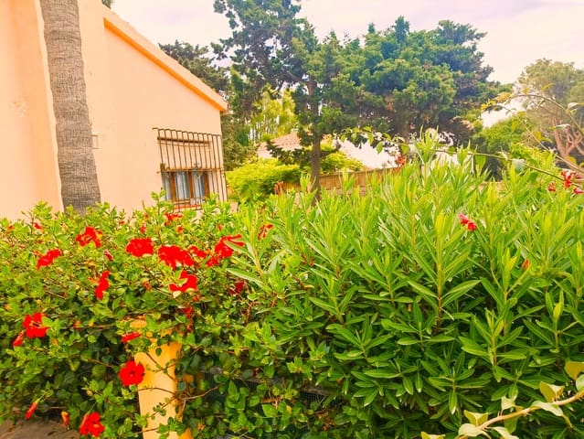 4 soveværelse Villa til salg i Benajarafe, Vélez-Málaga med swimmingpool - € 950.000 (Ref: 6757162)