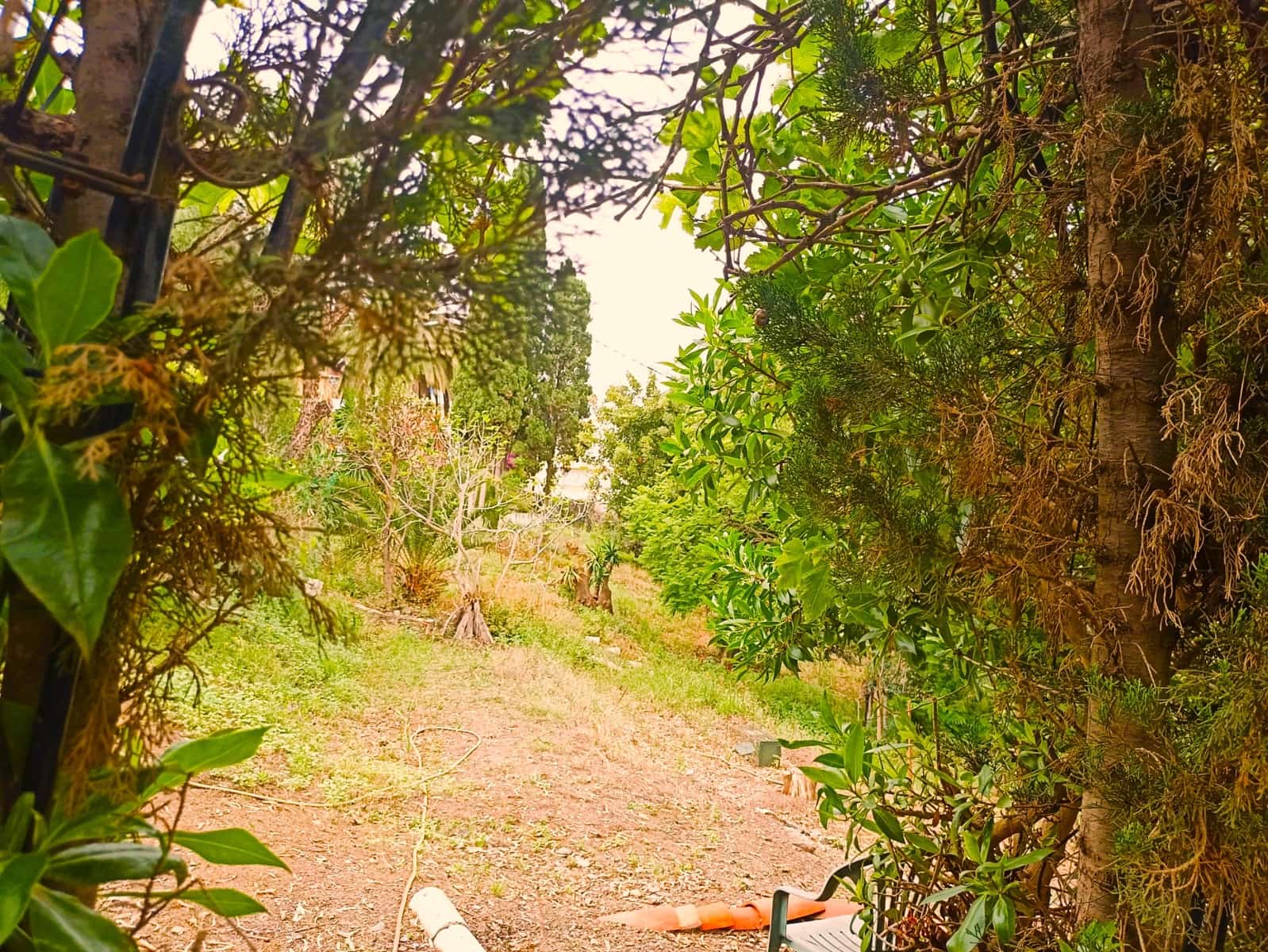 4 soveværelse Villa til salg i Benajarafe med swimmingpool - € 950.000 (Ref: 6757162)