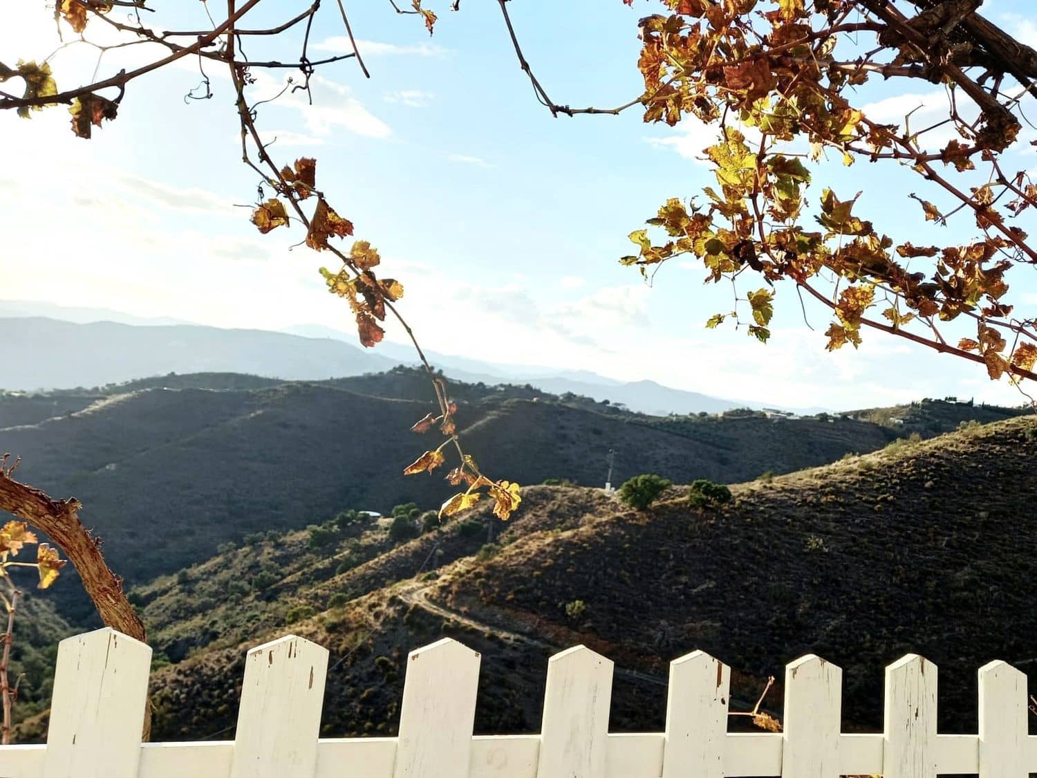 4 sypialnia Finka/Dom wiejski na sprzedaż w Arenas - 280 000 € (Ref: 6903701)