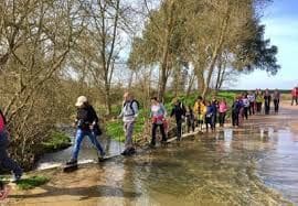 1 soveværelse Finca/Landehus til salg i Sils - € 1.100.000 (Ref: 3937361)