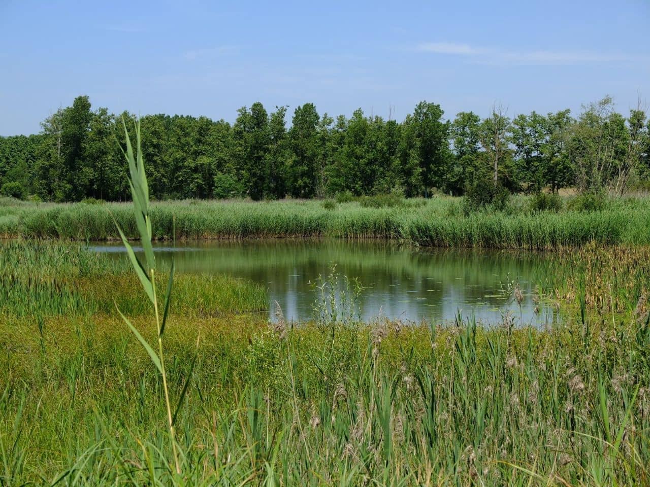 1 soveværelse Finca/Landehus til salg i Sils - € 1.100.000 (Ref: 3937361)