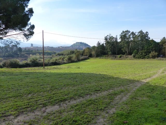 1 soveværelse Finca/Landehus til salg i Massanes - € 59.000 (Ref: 5811555)