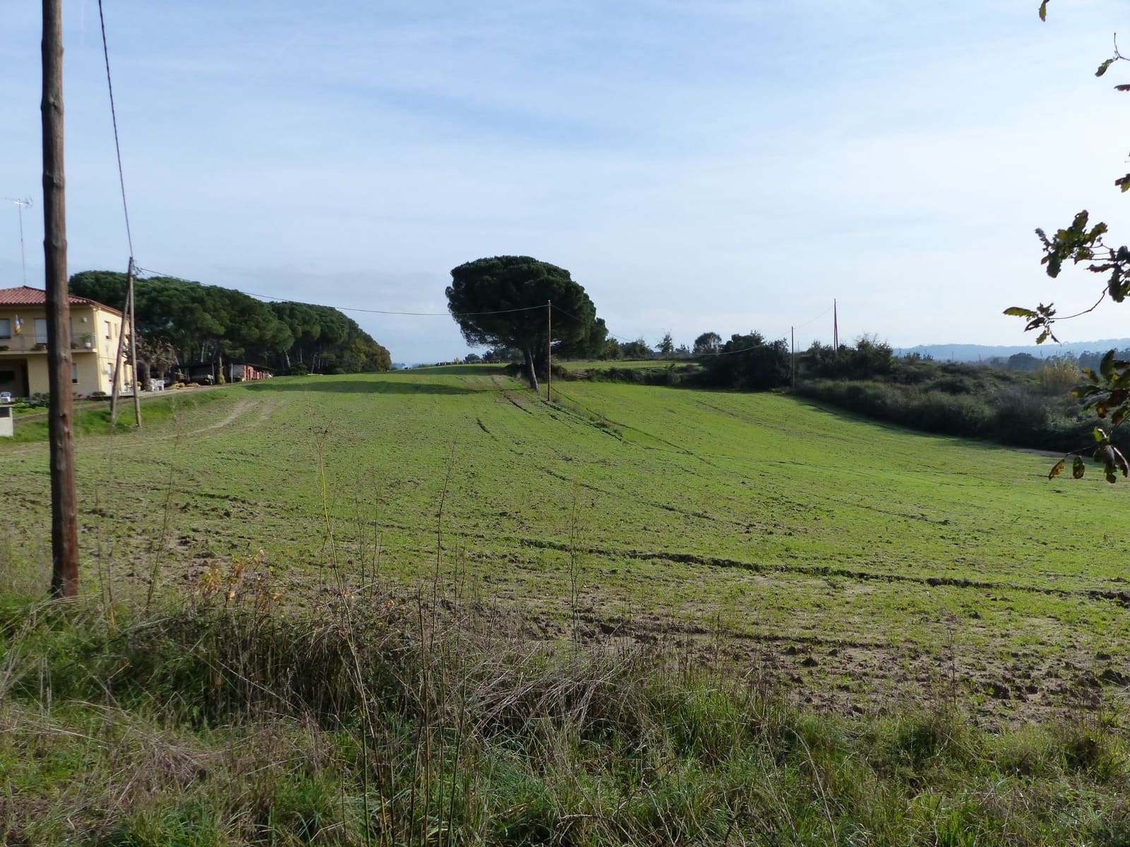 1 soveværelse Finca/Landehus til salg i Massanes - € 59.000 (Ref: 5811555)