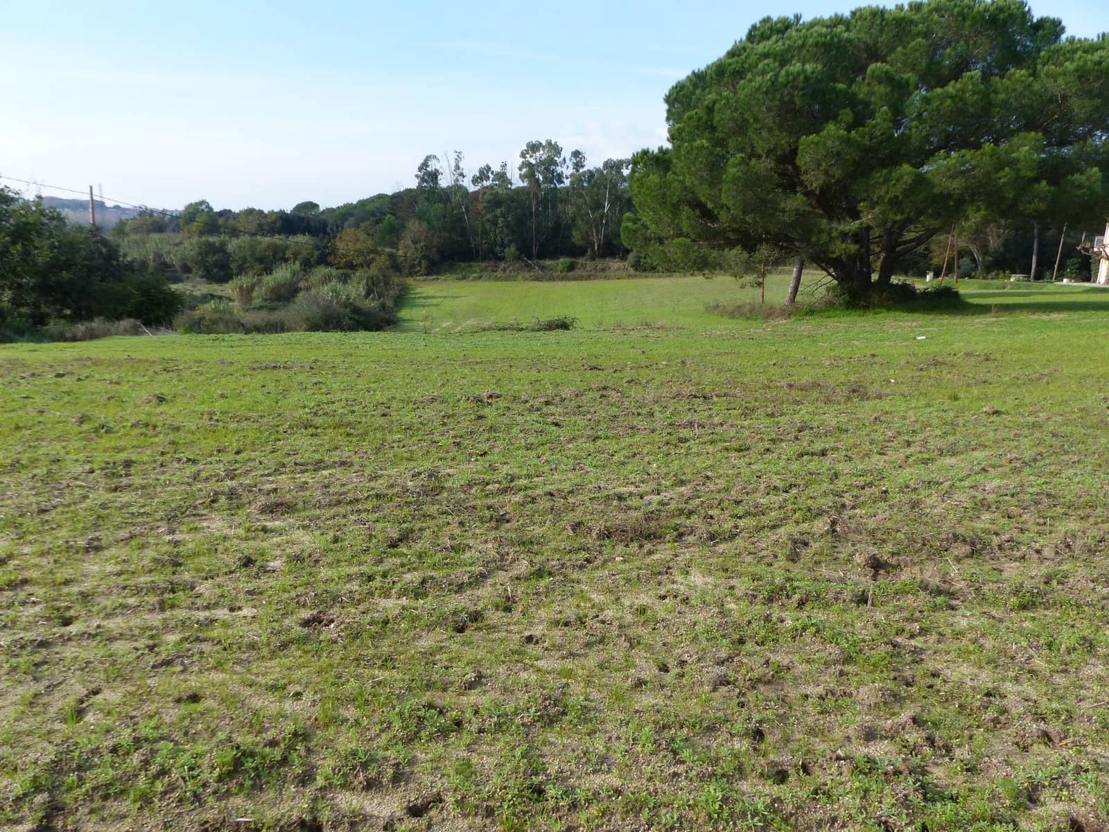 1 soveværelse Finca/Landehus til salg i Massanes - € 59.000 (Ref: 5811555)