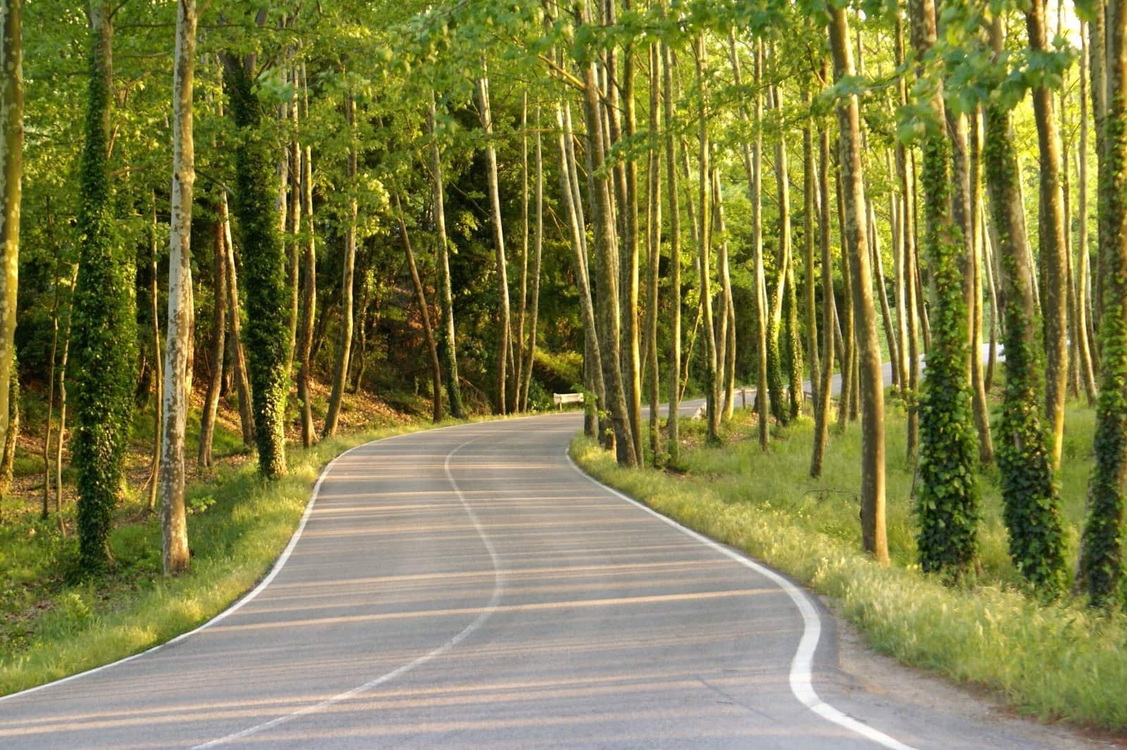 1 soveværelse Finca/Landehus til salg i Massanes - € 59.000 (Ref: 5811555)