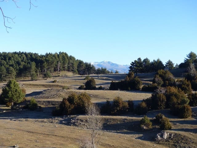 Finca/Casa Rural en Berga en venta - 4.500.000 € (Ref: 5816067)