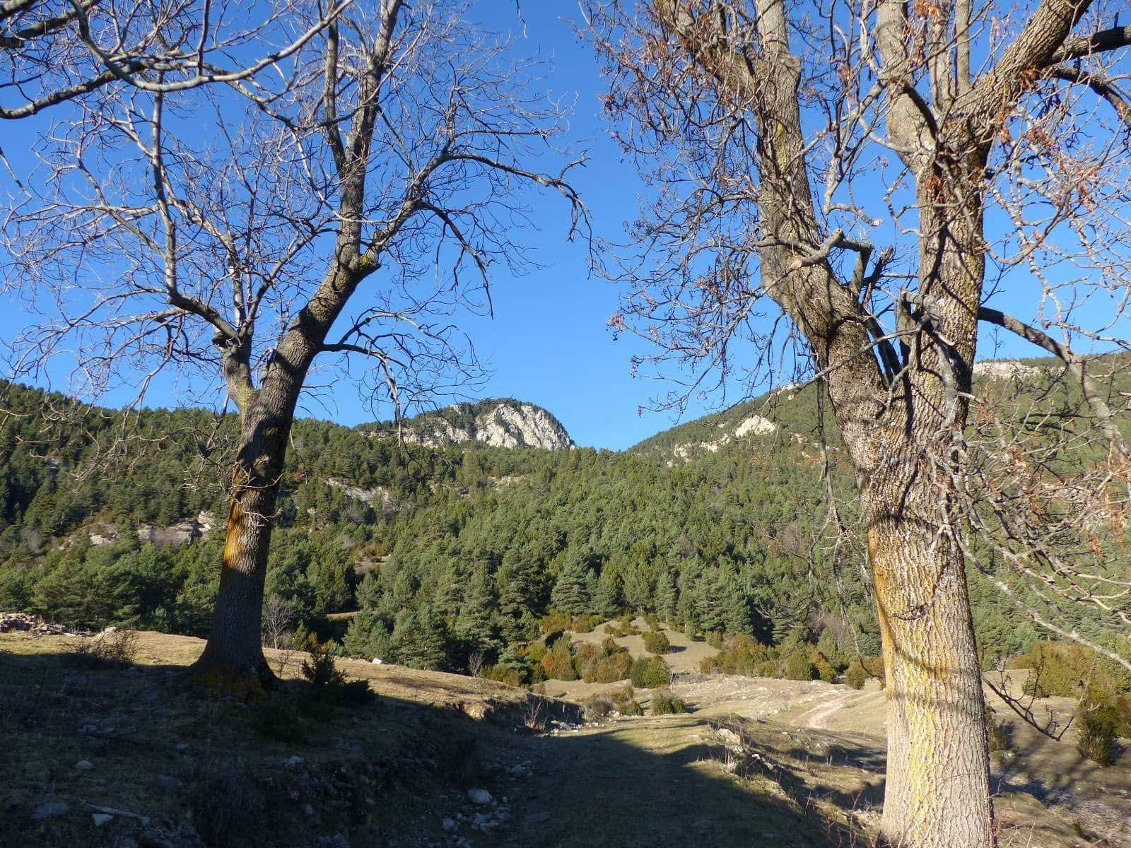 Finca/Country House for sale in Berga - € 4,500,000 (Ref: 5816067)