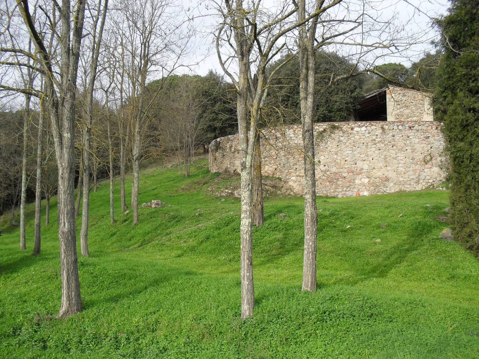 6 sovrum Finca/Hus på landet till salu i Sant Feliu de Buixalleu med garage - 895 000 € (Ref: 5816072)