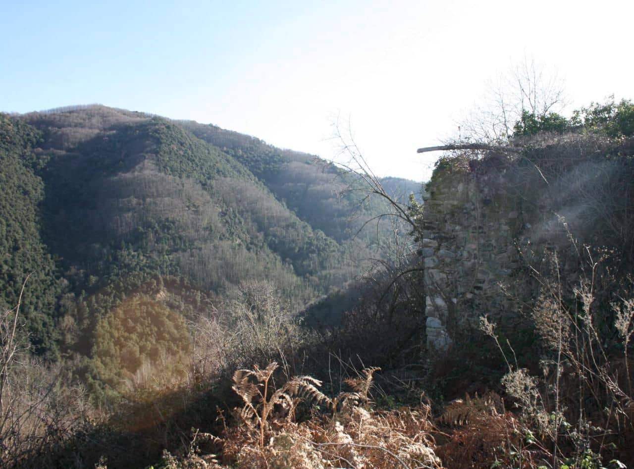 1 soverom Finca/Herregård til salgs i Susqueda - € 3 350 000 (Ref: 5816083)