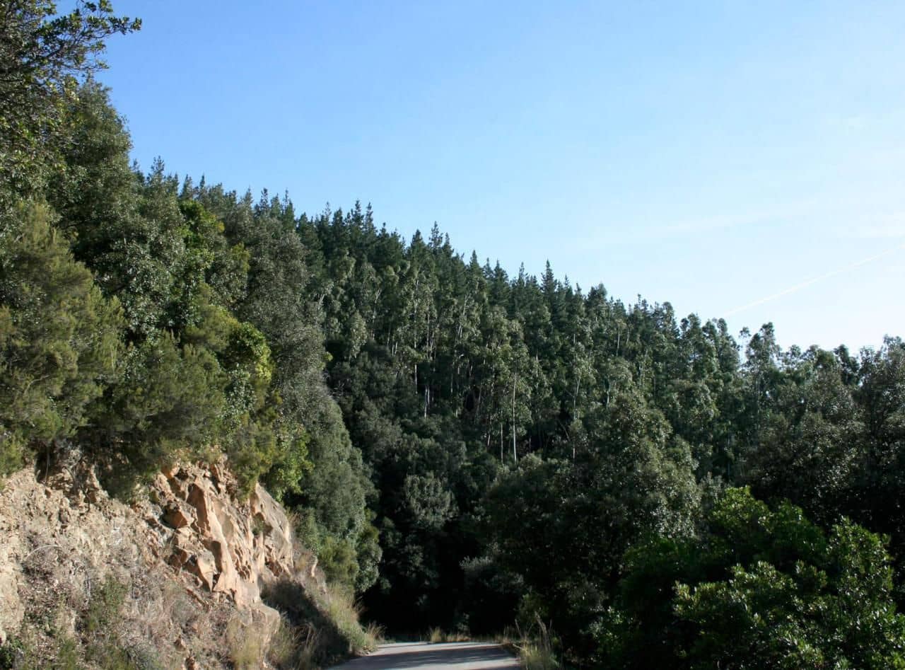 1 soverom Finca/Herregård til salgs i Susqueda - € 3 350 000 (Ref: 5816083)