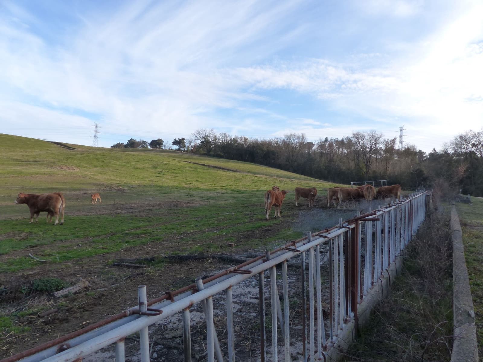 1 sypialnia Finka/Dom wiejski na sprzedaż w Bescano - 650 000 € (Ref: 6107200)