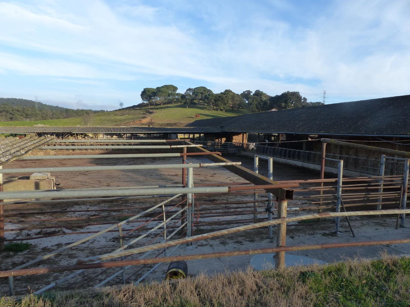 1 sypialnia Finka/Dom wiejski na sprzedaż w Bescano - 650 000 € (Ref: 6107200)