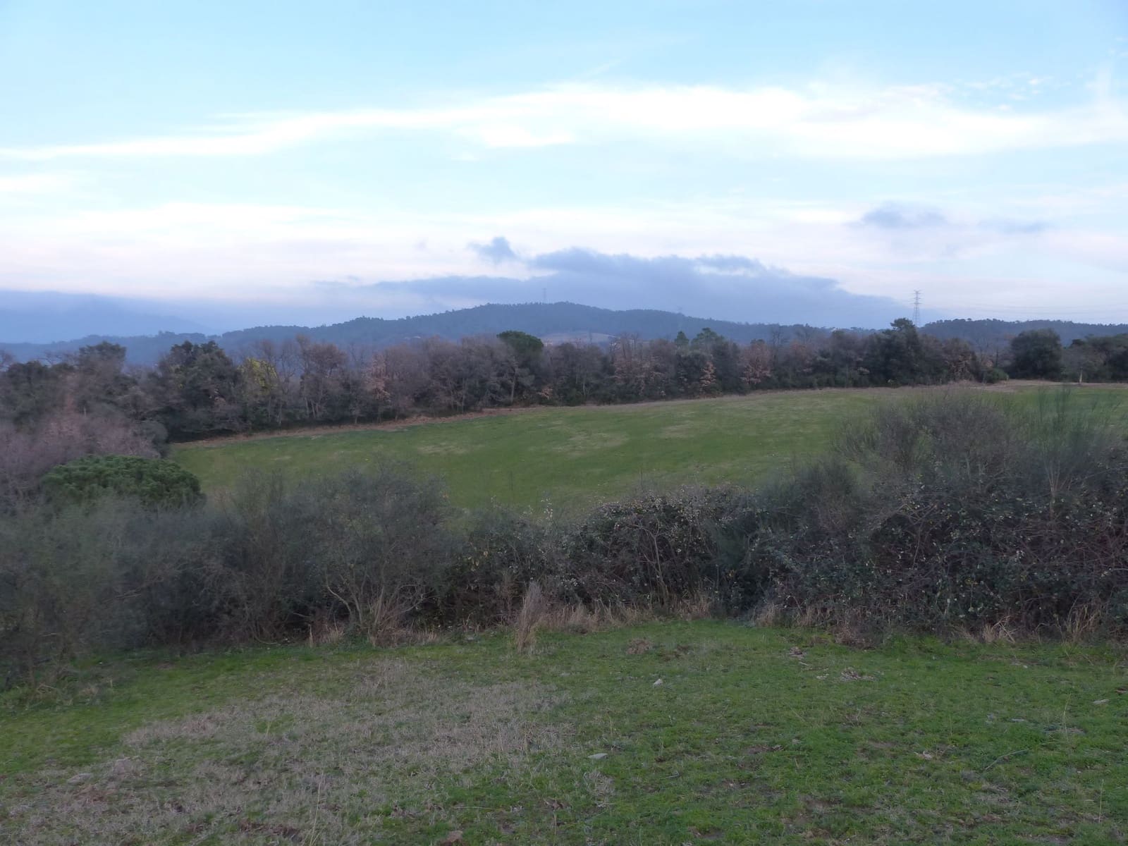 1 sypialnia Finka/Dom wiejski na sprzedaż w Bescano - 650 000 € (Ref: 6107200)