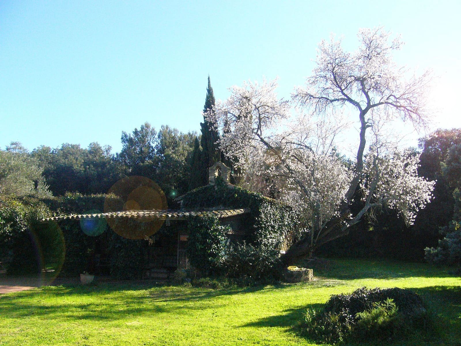 34 soverom Villa til salgs i Palafrugell med svømmebasseng garasje - € 6 250 000 (Ref: 6132966)