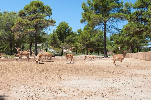 8 bedroom Villa for sale in Cistella with pool garage - € 4,500,000 (Ref: 8556173)