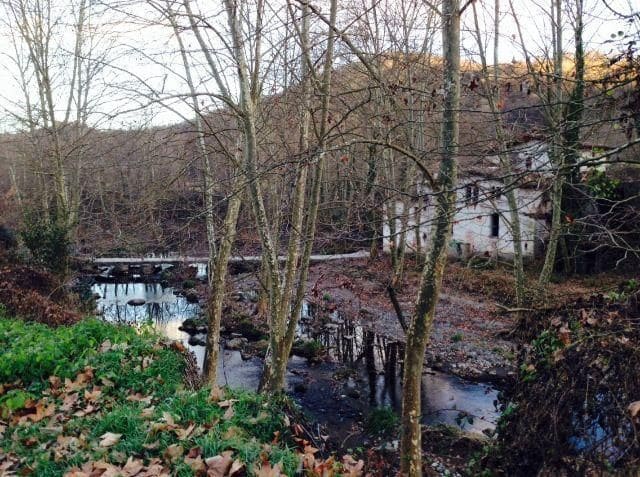 5 soveværelse Finca/Landehus til salg i Olot - € 399.000 (Ref: 8556177)