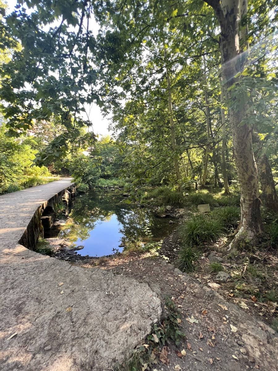 5 soveværelse Finca/Landehus til salg i Olot - € 399.000 (Ref: 8556177)