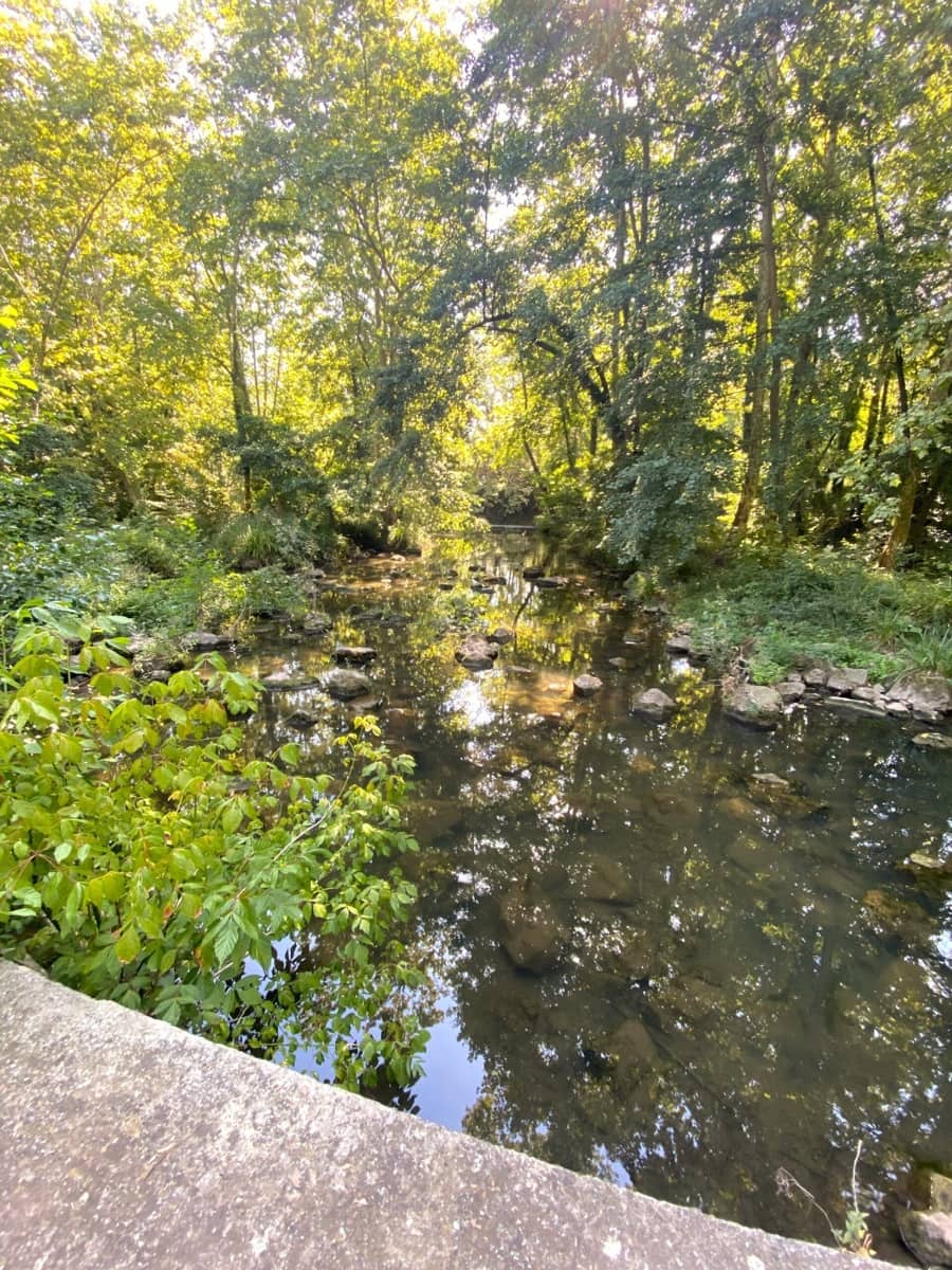 5 soveværelse Finca/Landehus til salg i Olot - € 399.000 (Ref: 8556177)