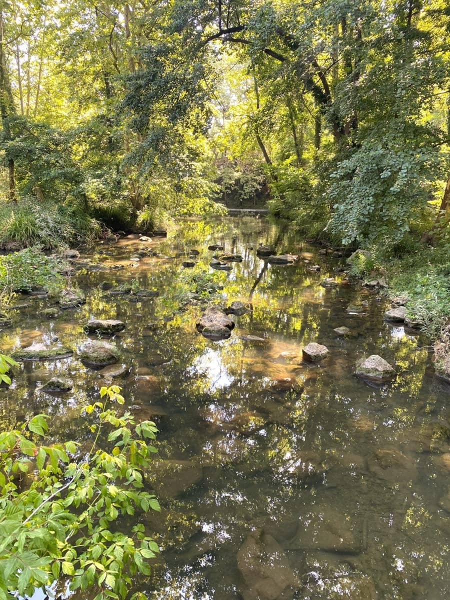 5 soveværelse Finca/Landehus til salg i Olot - € 399.000 (Ref: 8556177)