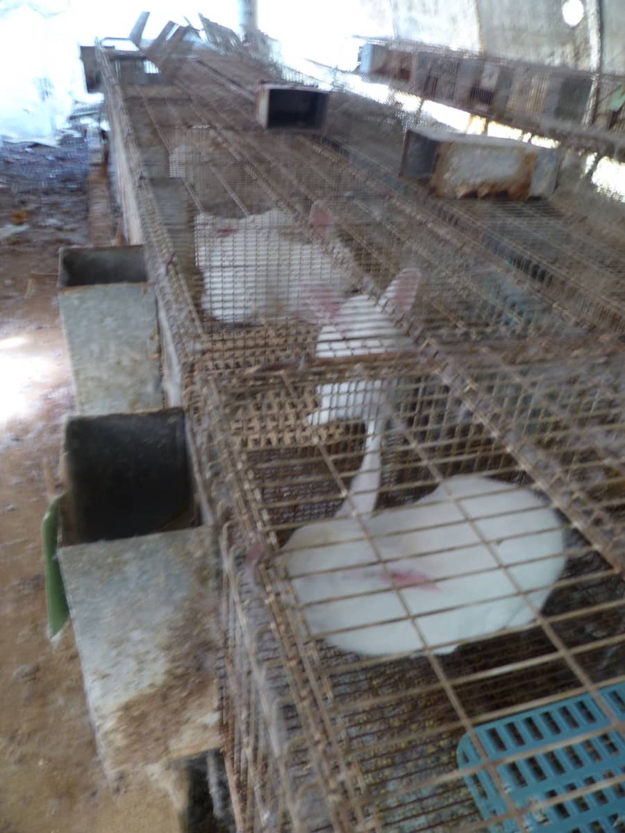 4 slaapkamer Finca/Landhuis te koop in Sant Iscle de Vallalta - € 390.000 (Ref: 8556181)