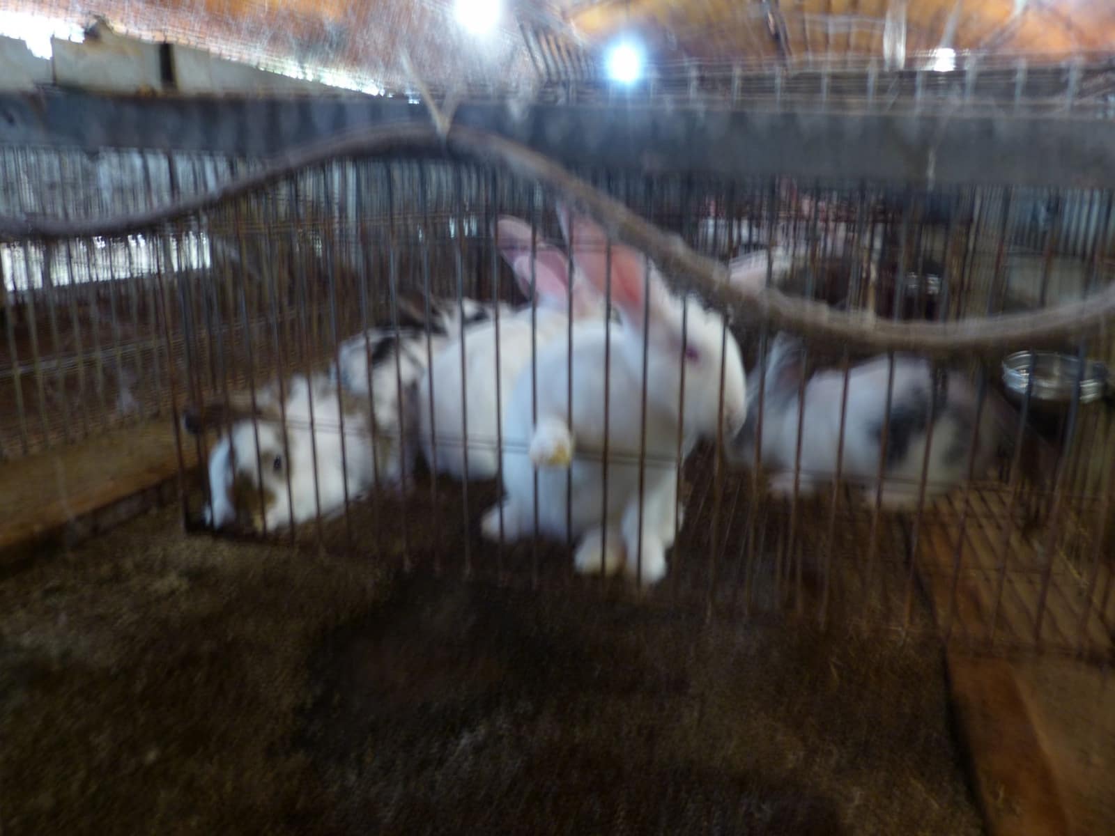 4 slaapkamer Finca/Landhuis te koop in Sant Iscle de Vallalta - € 390.000 (Ref: 8556181)