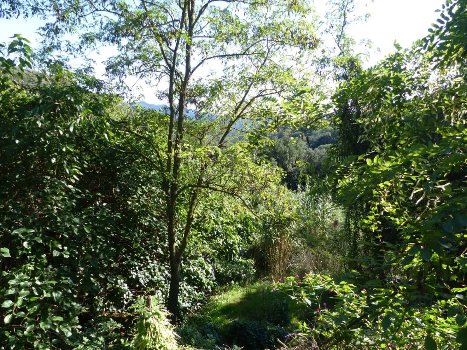 4 slaapkamer Finca/Landhuis te koop in Sant Iscle de Vallalta - € 390.000 (Ref: 8556181)