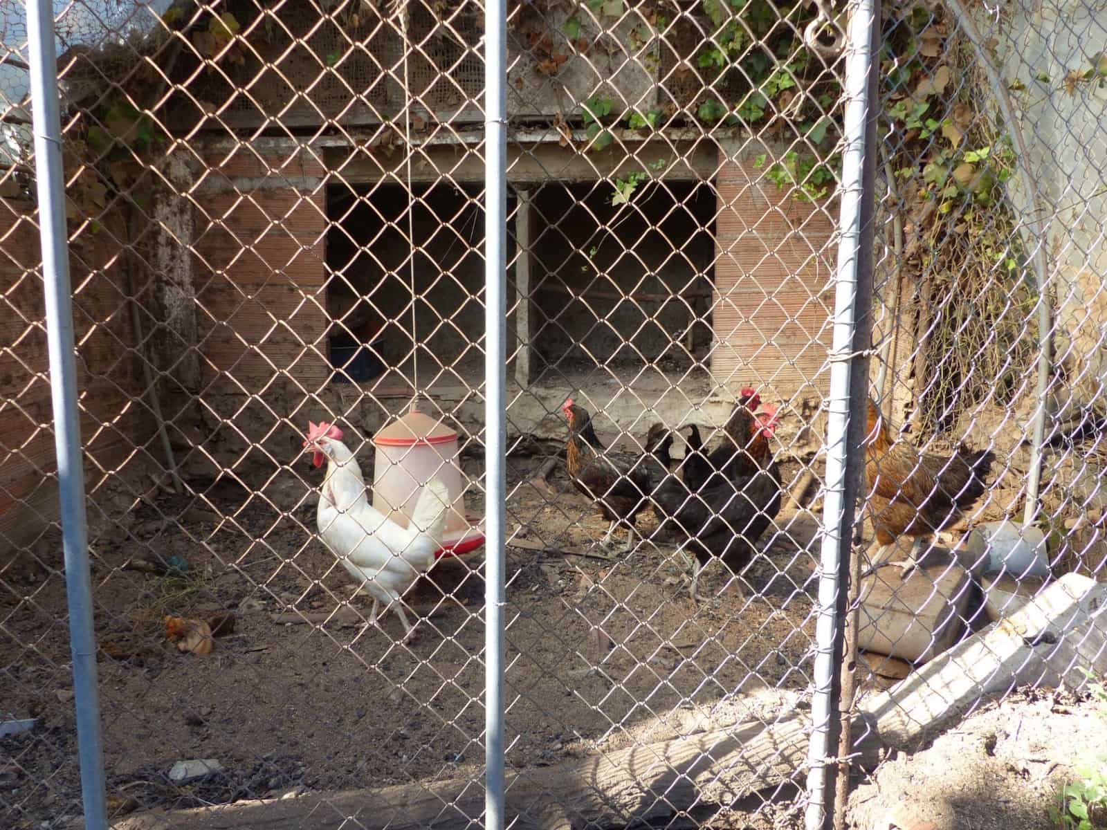 4 slaapkamer Finca/Landhuis te koop in Sant Iscle de Vallalta - € 390.000 (Ref: 8556181)