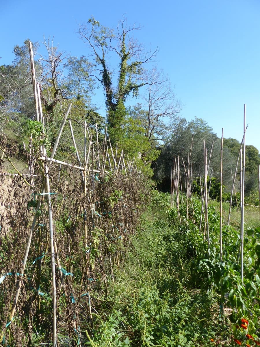 4 slaapkamer Finca/Landhuis te koop in Sant Iscle de Vallalta - € 390.000 (Ref: 8556181)