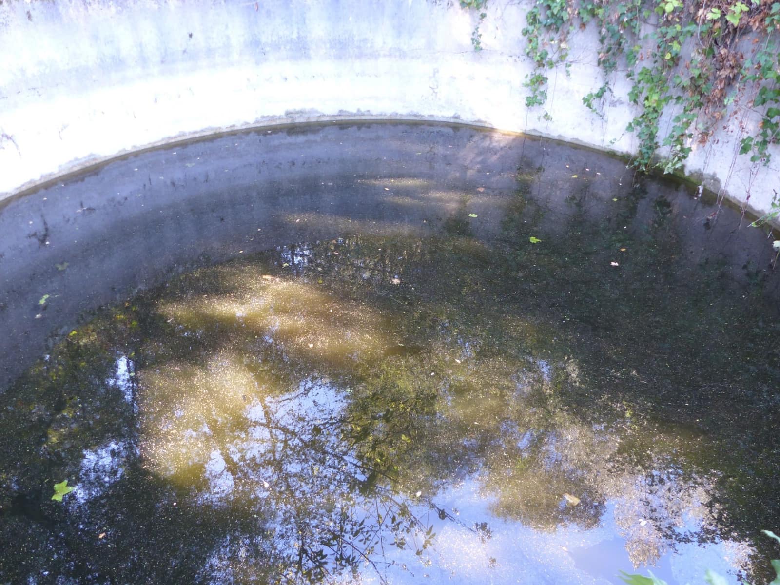 4 slaapkamer Finca/Landhuis te koop in Sant Iscle de Vallalta - € 390.000 (Ref: 8556181)