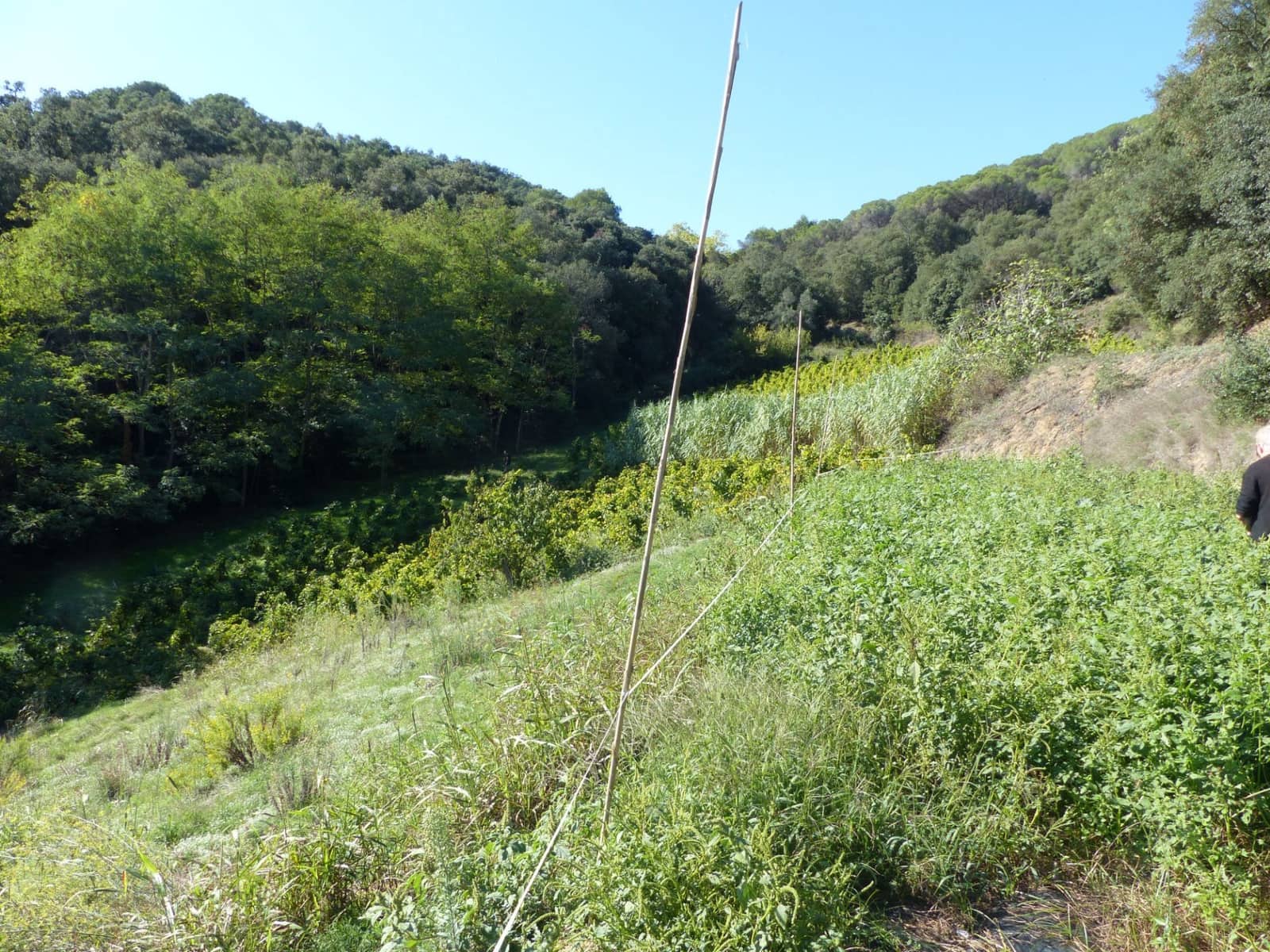 4 slaapkamer Finca/Landhuis te koop in Sant Iscle de Vallalta - € 390.000 (Ref: 8556181)