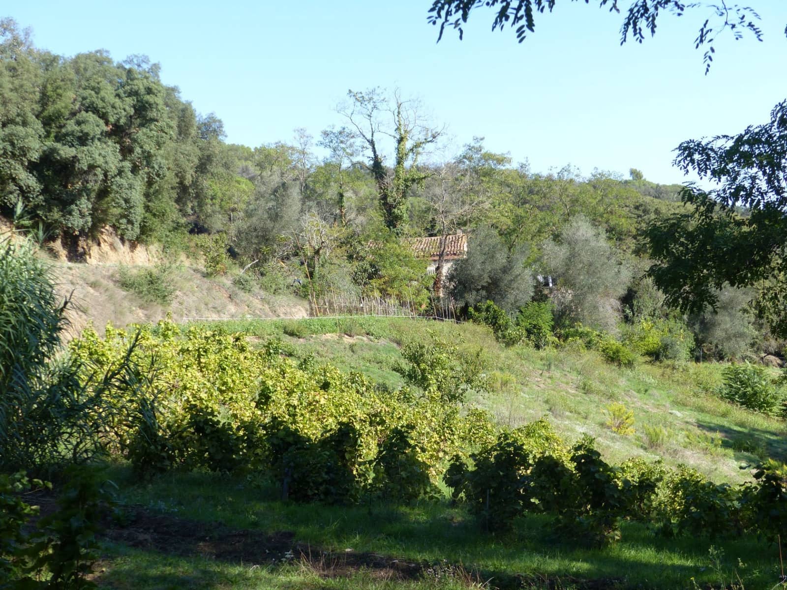 4 slaapkamer Finca/Landhuis te koop in Sant Iscle de Vallalta - € 390.000 (Ref: 8556181)