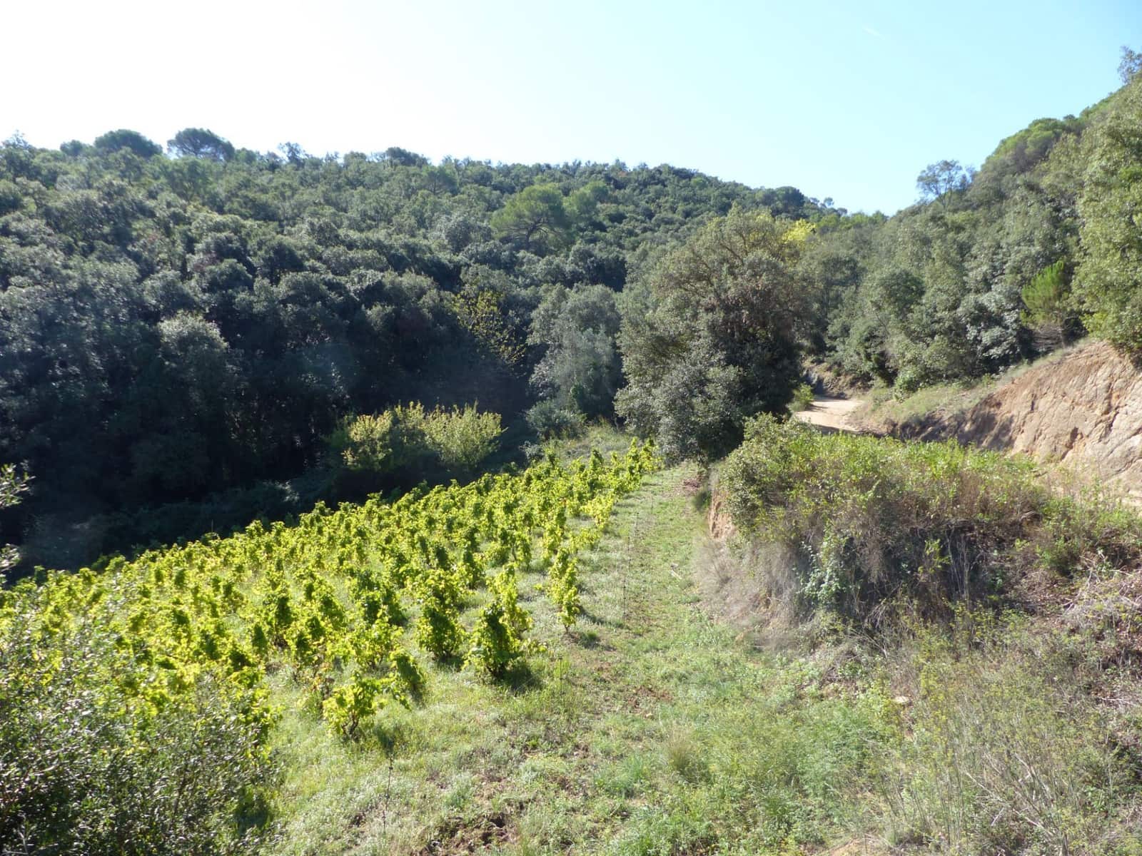 4 slaapkamer Finca/Landhuis te koop in Sant Iscle de Vallalta - € 390.000 (Ref: 8556181)