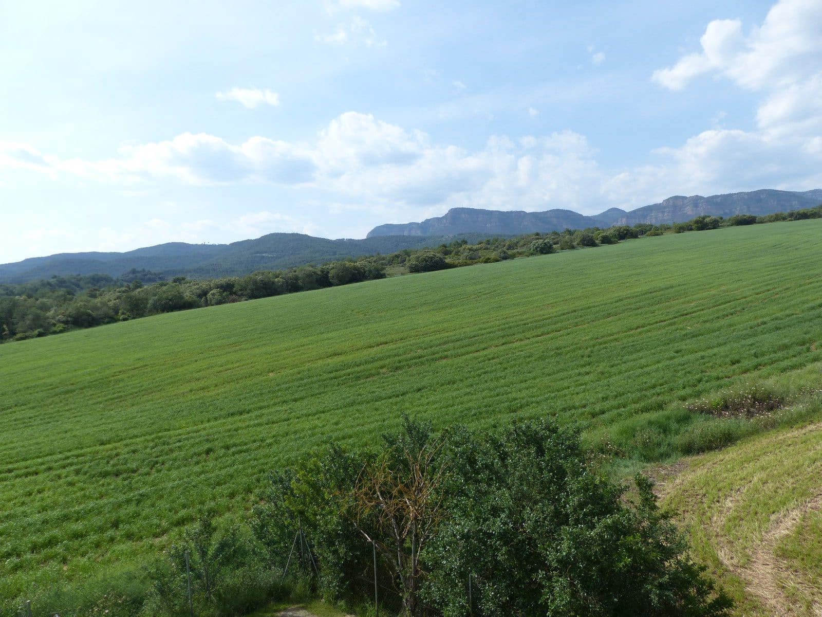 9 bedroom Finca/Country House for sale in Berga with garage - € 650,000 (Ref: 8556183)