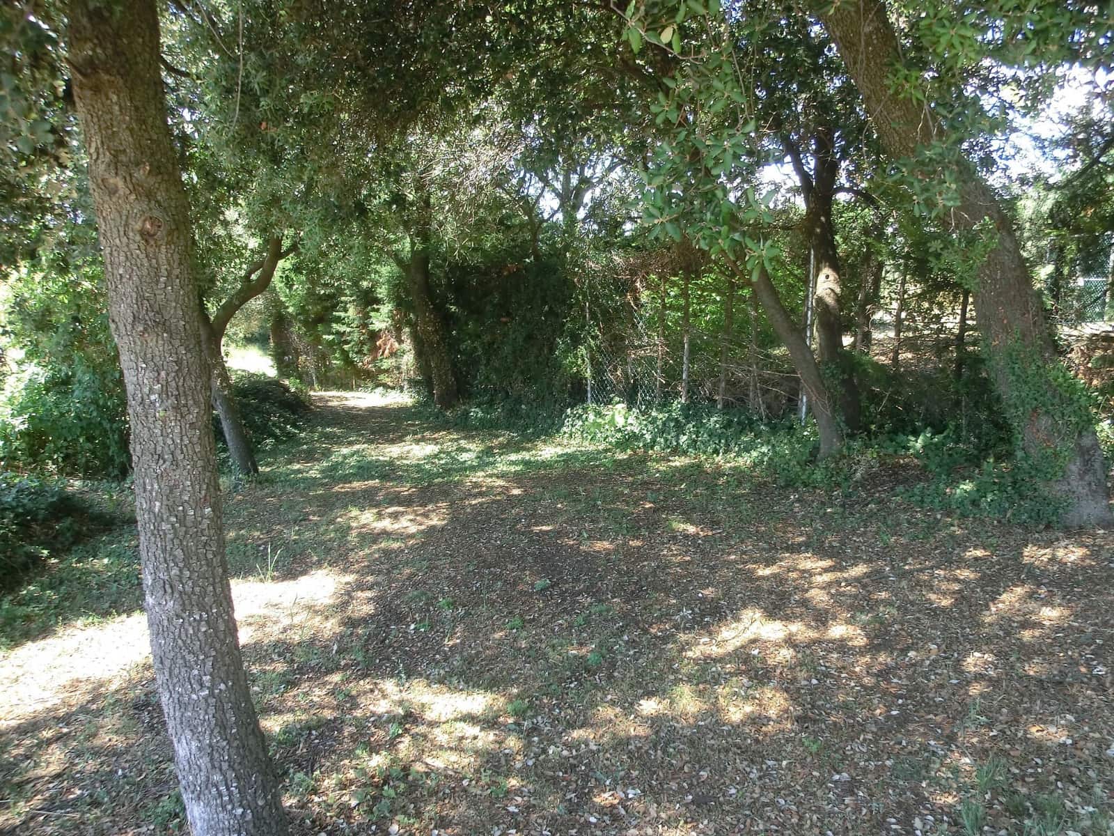 9 bedroom Finca/Country House for sale in Berga with garage - € 650,000 (Ref: 8556183)