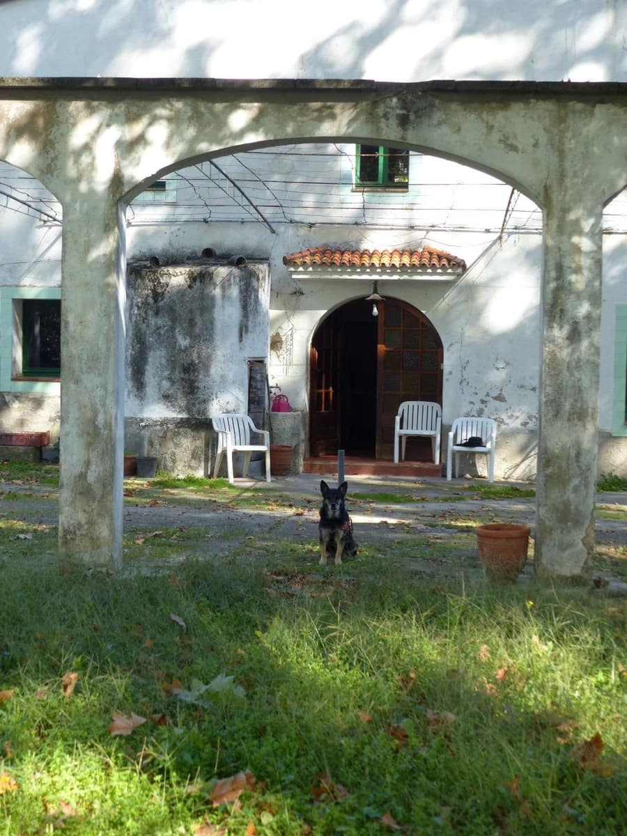 10 soveværelse Finca/Landehus til salg i Bescano med garage - € 350.000 (Ref: 8616064)