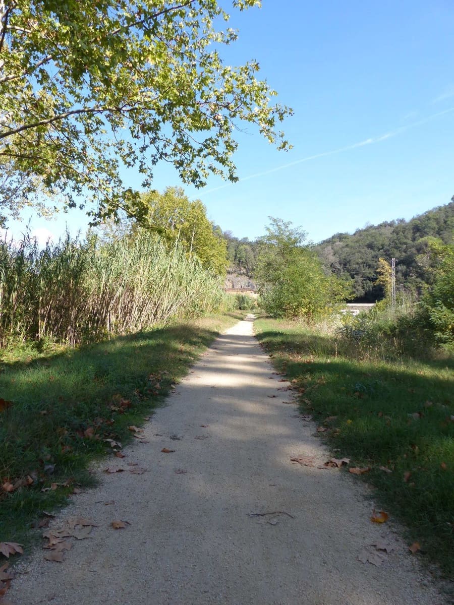 10 soveværelse Finca/Landehus til salg i Bescano med garage - € 350.000 (Ref: 8616064)