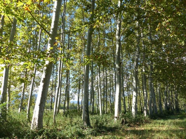 10 chambre Finca/Maison de Campagne à vendre à Bescanó avec garage - 350 000 € (Ref: 8616064)