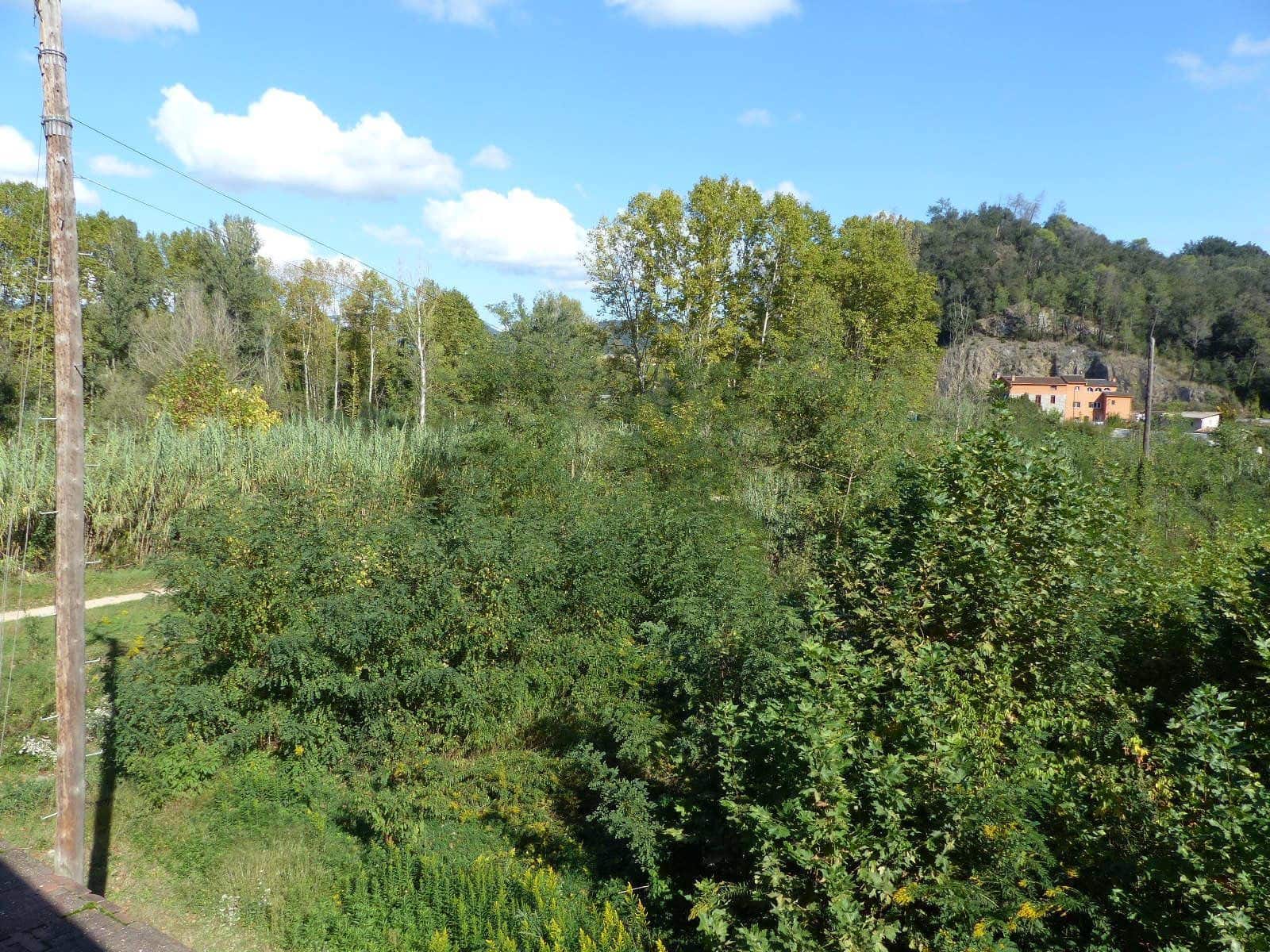 10 soveværelse Finca/Landehus til salg i Bescano med garage - € 350.000 (Ref: 8616064)