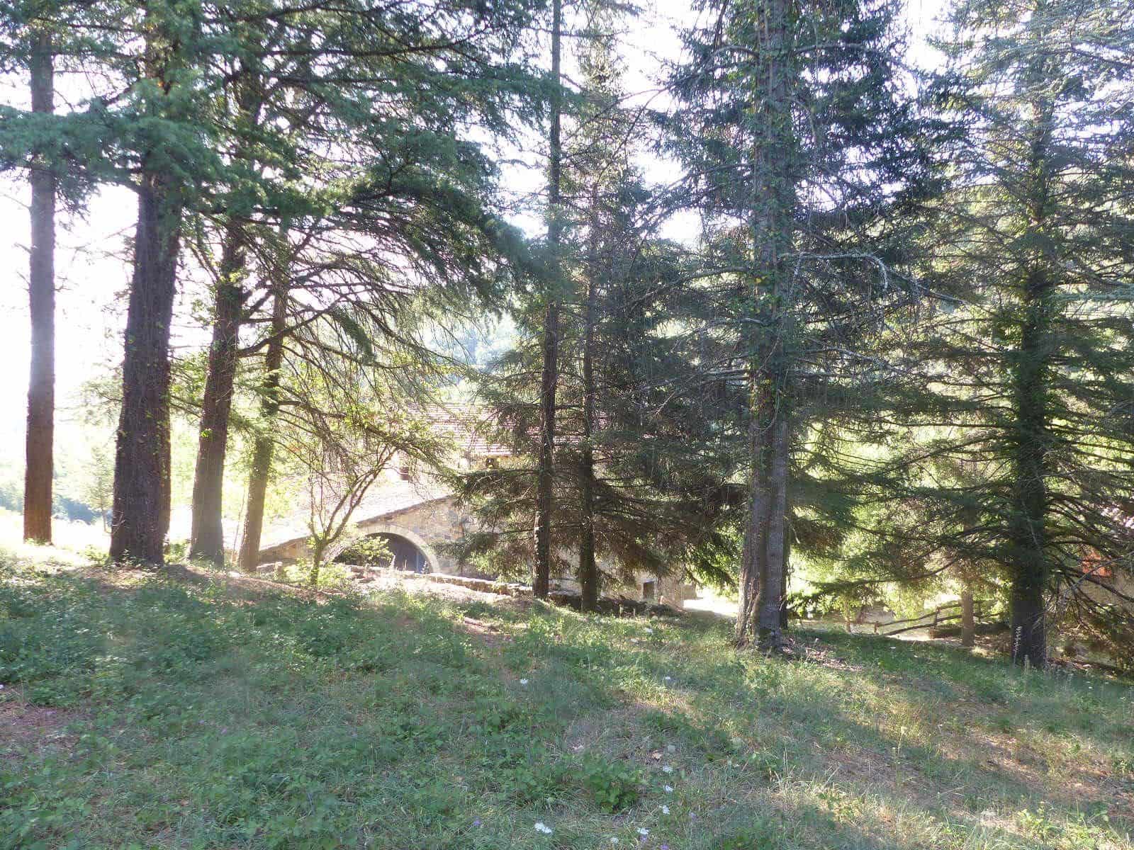 12 soveværelse Finca/Landehus til salg i Besalu med swimmingpool garage - € 11.111.111 (Ref: 8693978)