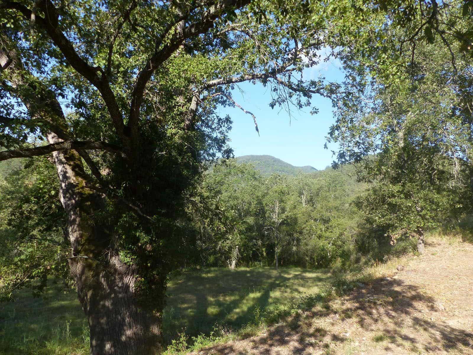 12 soveværelse Finca/Landehus til salg i Besalu med swimmingpool garage - € 11.111.111 (Ref: 8693978)