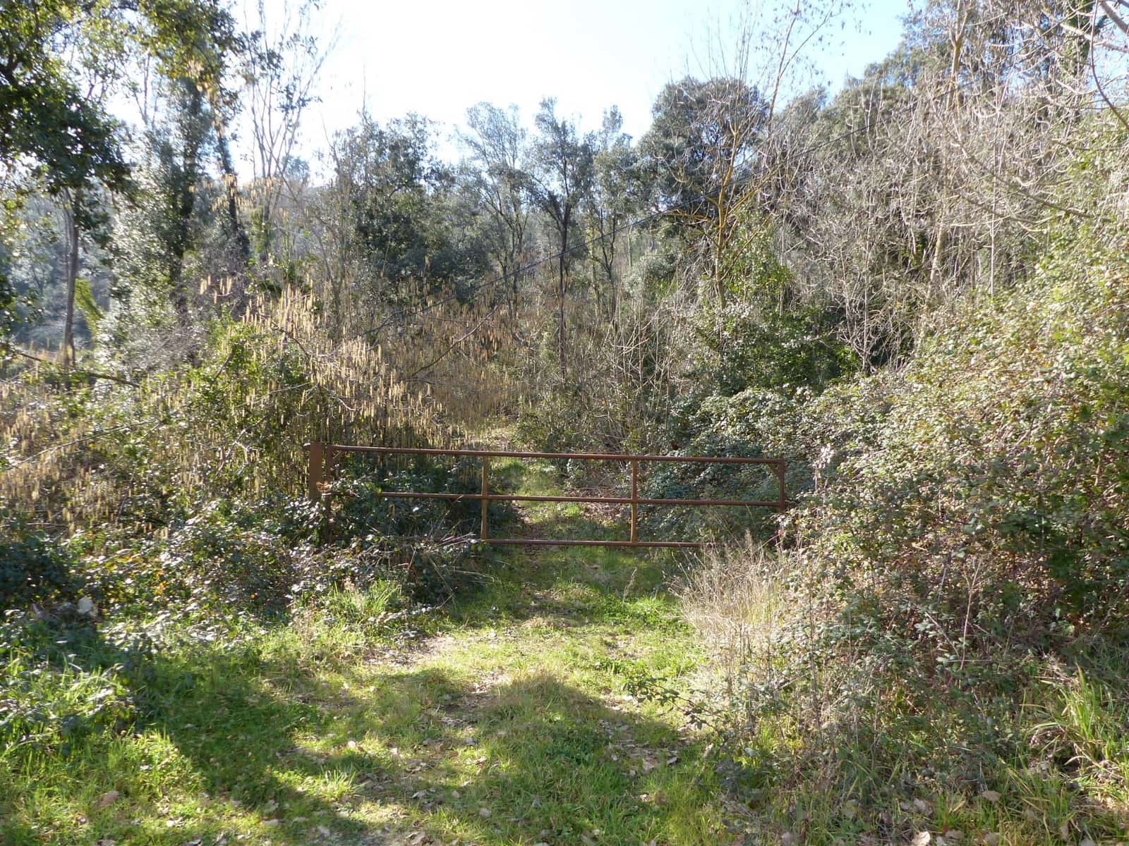 3 soveværelse Finca/Landehus til salg i Riells i Viabrea - € 800.000 (Ref: 8693979)