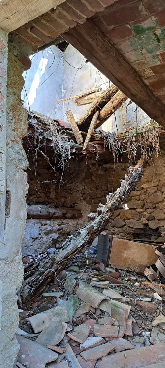 1 soveværelse Finca/Landehus til salg i Sant Feliu de Buixalleu - € 199.000 (Ref: 8693989)