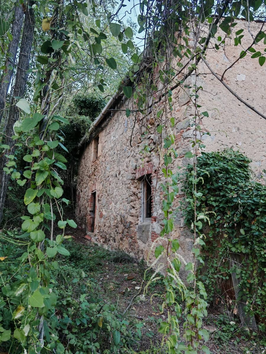 1 soveværelse Finca/Landehus til salg i Sant Feliu de Buixalleu - € 199.000 (Ref: 8693989)