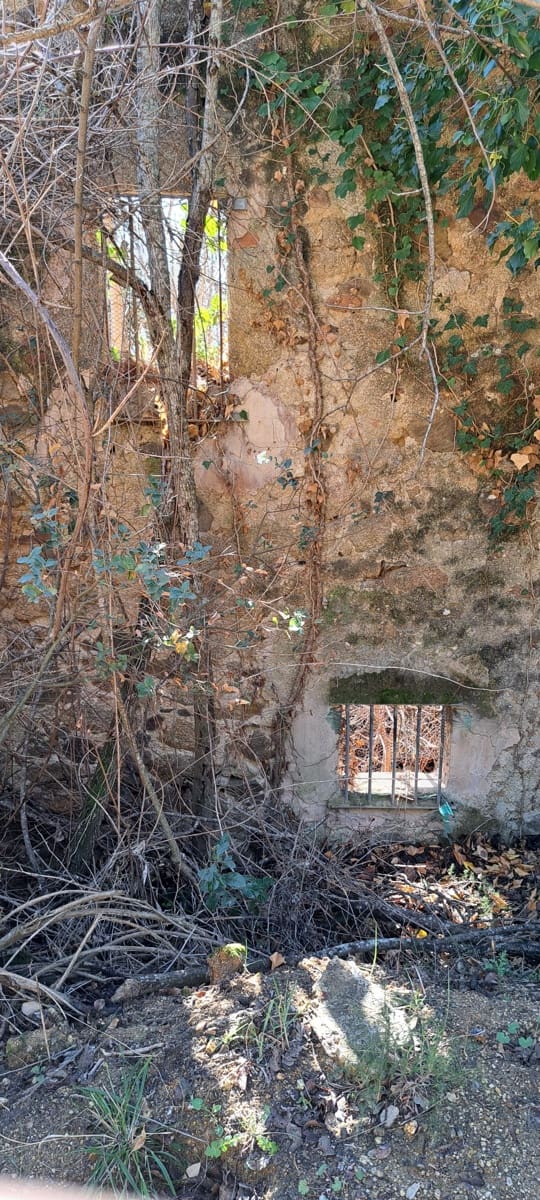 1 soveværelse Finca/Landehus til salg i Sant Feliu de Buixalleu - € 199.000 (Ref: 8693989)