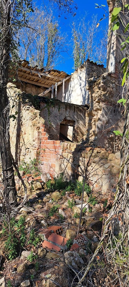 1 soveværelse Finca/Landehus til salg i Sant Feliu de Buixalleu - € 199.000 (Ref: 8693989)