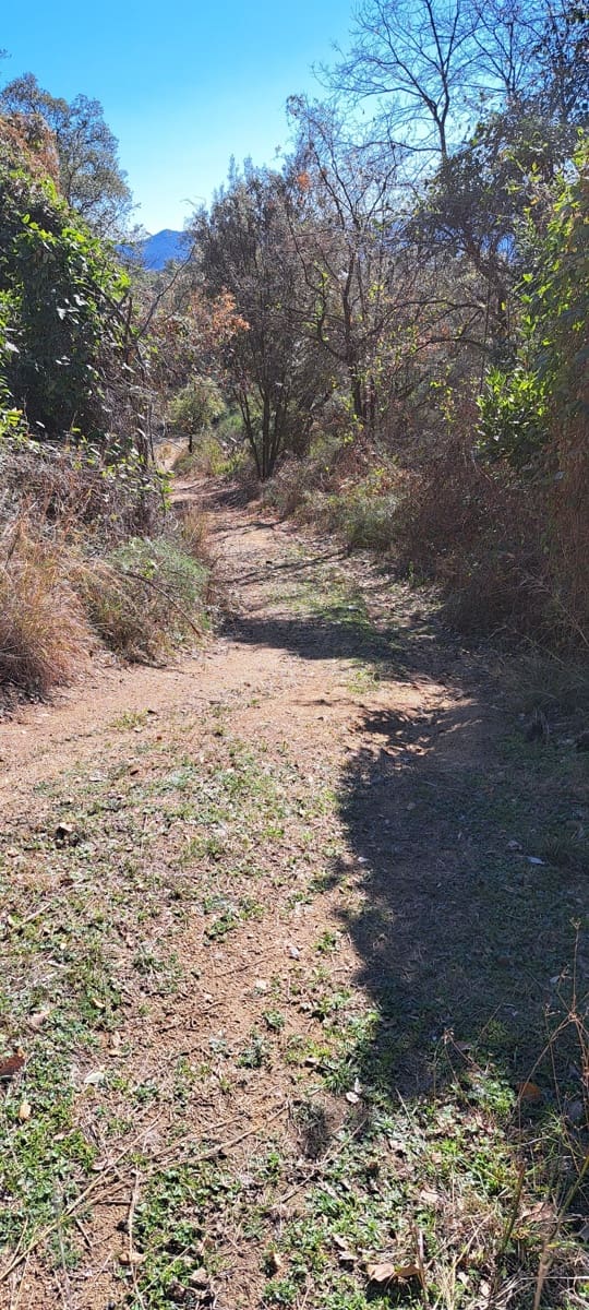 1 soveværelse Finca/Landehus til salg i Sant Feliu de Buixalleu - € 199.000 (Ref: 8693989)