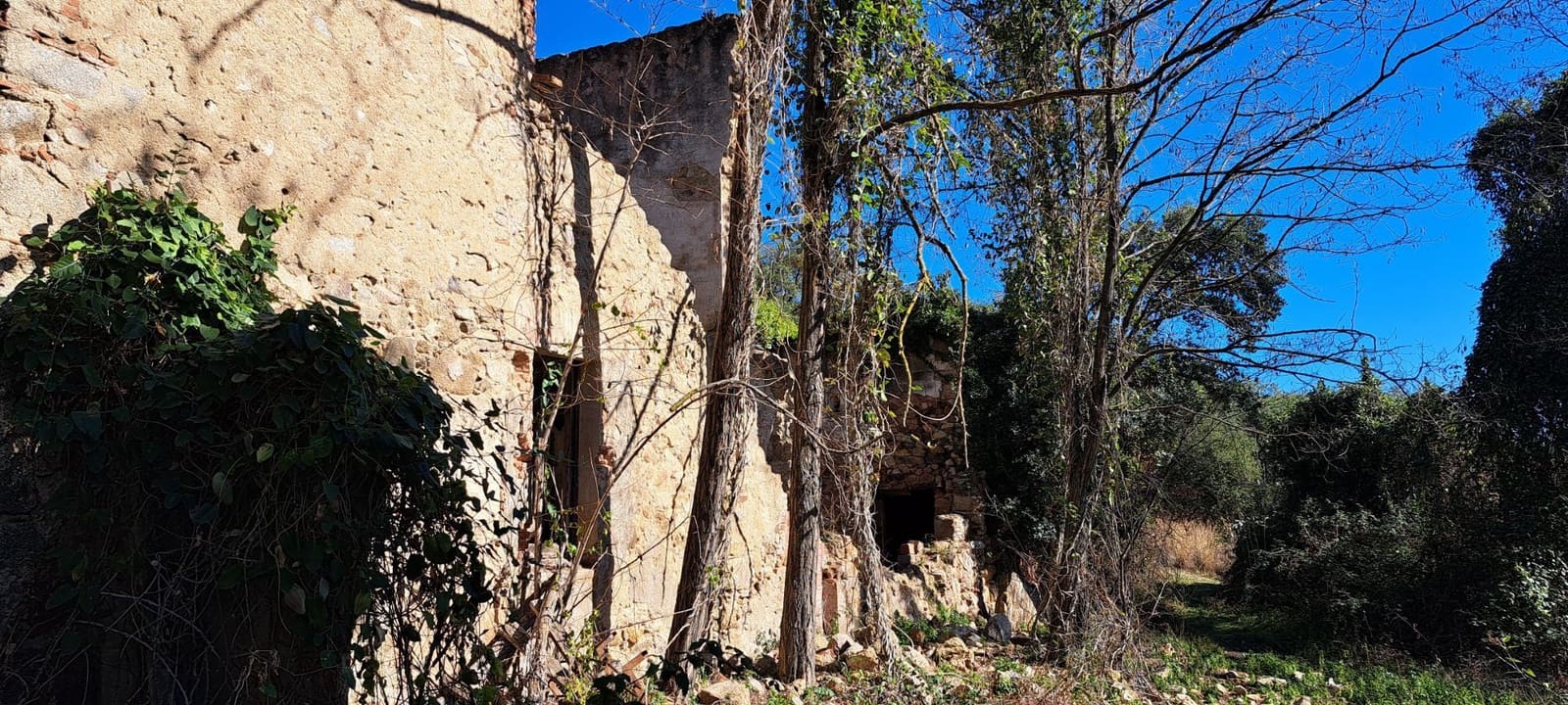 1 soveværelse Finca/Landehus til salg i Sant Feliu de Buixalleu - € 199.000 (Ref: 8693989)