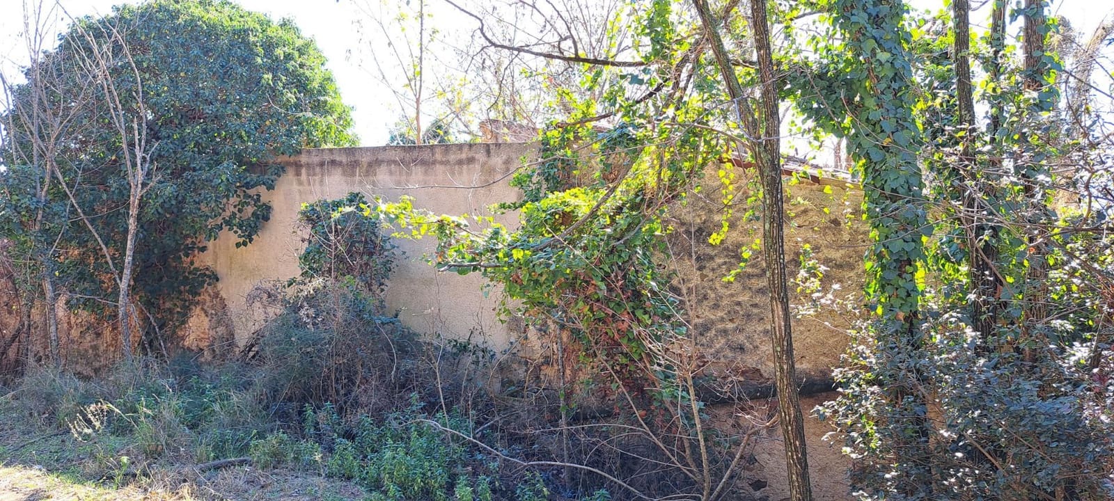 1 soveværelse Finca/Landehus til salg i Sant Feliu de Buixalleu - € 199.000 (Ref: 8693989)